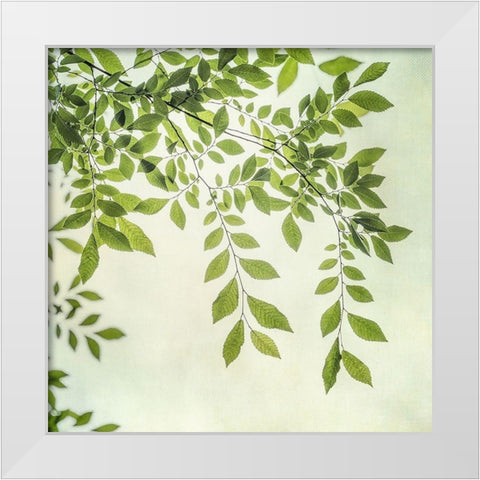 Summer Light I White Modern Wood Framed Art Print by Poinski, Dianne