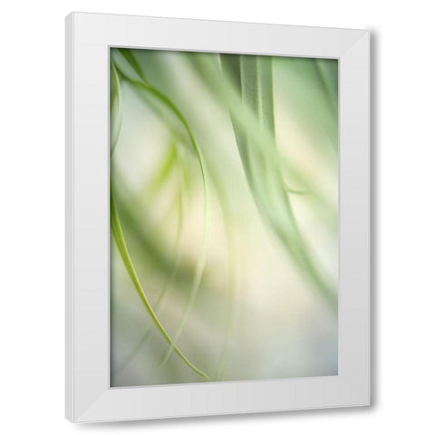 Harmonic I White Modern Wood Framed Art Print by Poinski, Dianne
