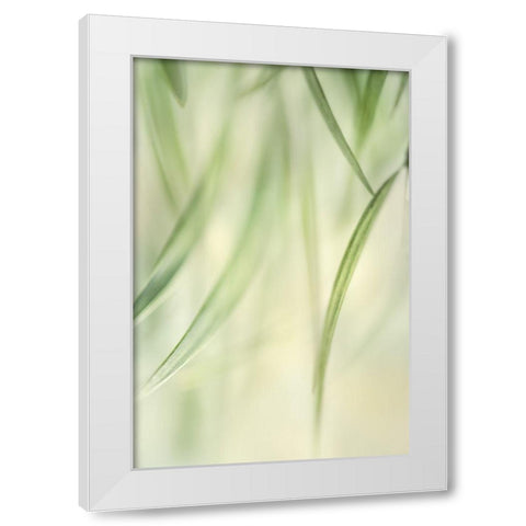 Harmonic II White Modern Wood Framed Art Print by Poinski, Dianne
