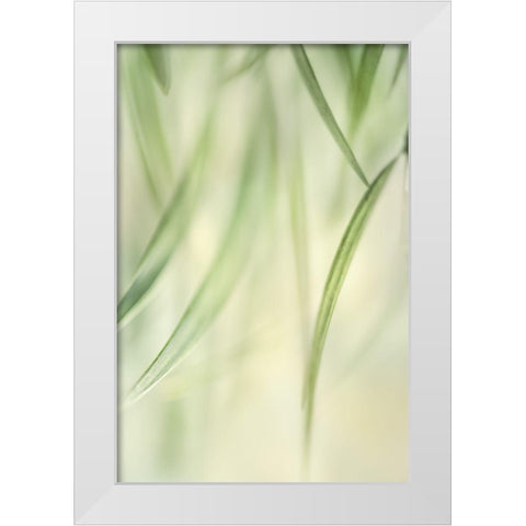 Harmonic II White Modern Wood Framed Art Print by Poinski, Dianne