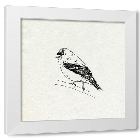 Bird Feeder Friends I White Modern Wood Framed Art Print by Caroline, Emma