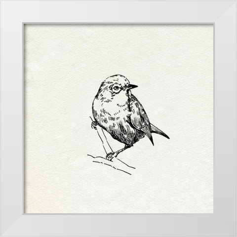 Bird Feeder Friends III White Modern Wood Framed Art Print by Caroline, Emma