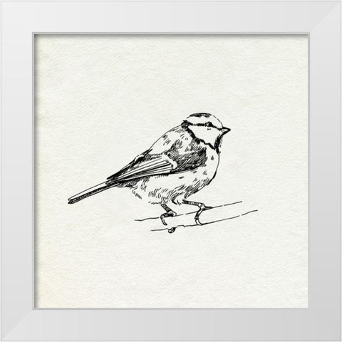 Bird Feeder Friends IV White Modern Wood Framed Art Print by Caroline, Emma