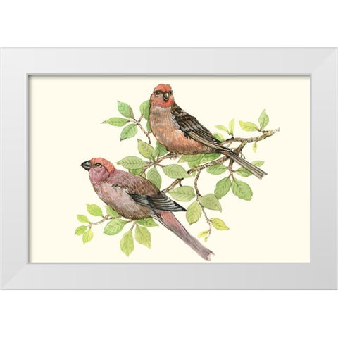 Song Birds II White Modern Wood Framed Art Print by OToole, Tim