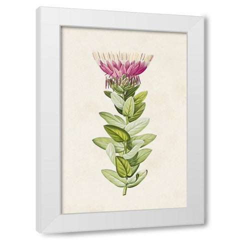 Pretty Pink Botanicals IV White Modern Wood Framed Art Print by Unknown