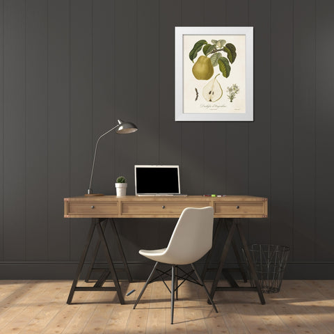 Vintage Pears I White Modern Wood Framed Art Print by de Langlois