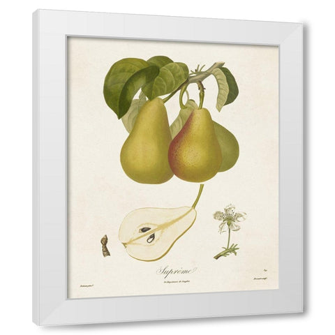 Vintage Pears V White Modern Wood Framed Art Print by de Langlois