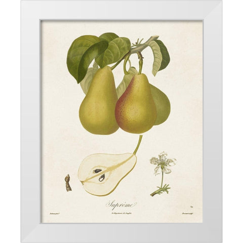 Vintage Pears V White Modern Wood Framed Art Print by de Langlois