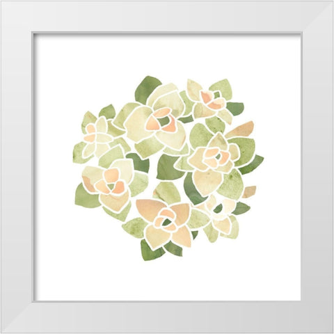 Succulent Cameo XII White Modern Wood Framed Art Print by Vess, June Erica