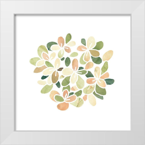 Succulent Cameo XIII White Modern Wood Framed Art Print by Vess, June Erica