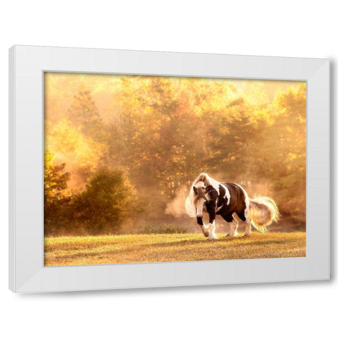 Horse Motion III White Modern Wood Framed Art Print by PHBurchett