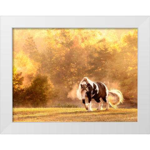 Horse Motion III White Modern Wood Framed Art Print by PHBurchett