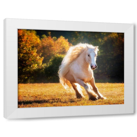 Horse Motion IV White Modern Wood Framed Art Print by PHBurchett