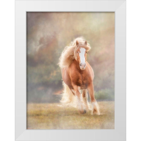 Horse Motion VII White Modern Wood Framed Art Print by PHBurchett