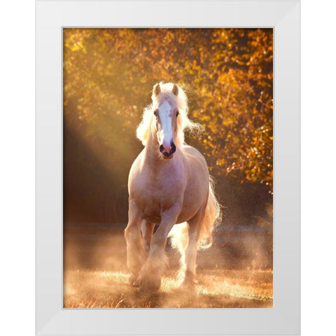 Horse Motion VIII White Modern Wood Framed Art Print by PHBurchett