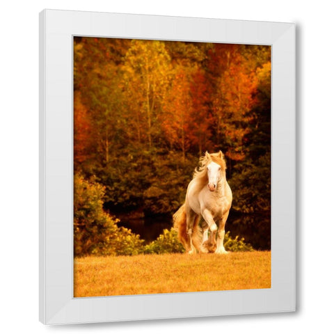 Horse Motion IX White Modern Wood Framed Art Print by PHBurchett