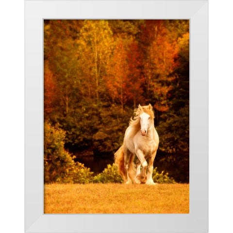 Horse Motion IX White Modern Wood Framed Art Print by PHBurchett