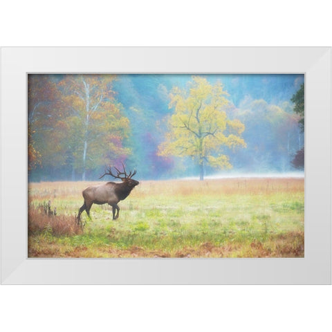 View At Rest IV White Modern Wood Framed Art Print by PHBurchett