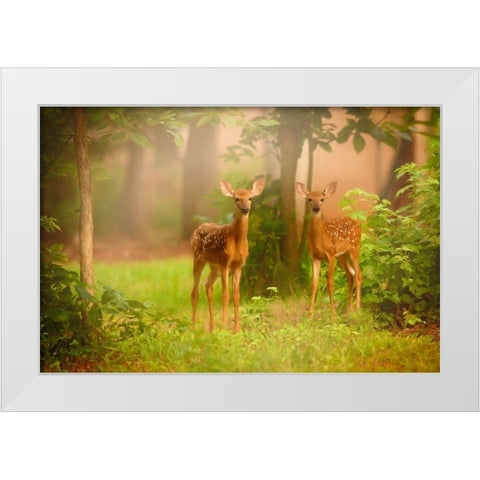 View At Rest V White Modern Wood Framed Art Print by PHBurchett