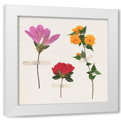 Backyard Variety I White Modern Wood Framed Art Print by Warren, Annie