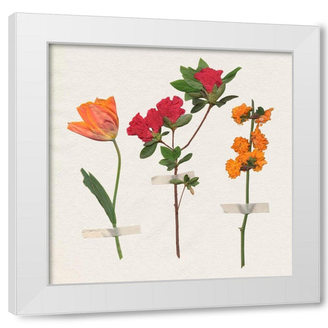 Backyard Variety II White Modern Wood Framed Art Print by Warren, Annie