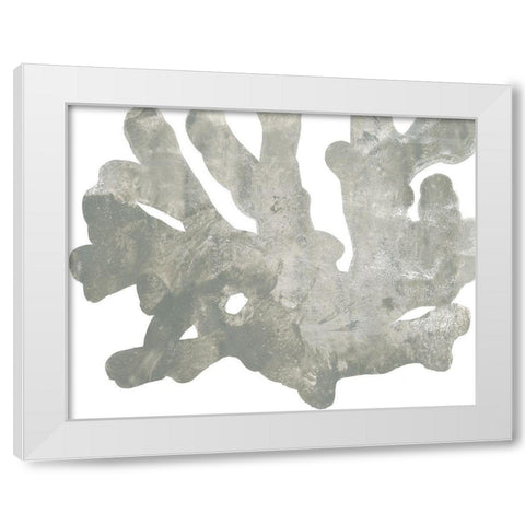 Stone Macro Coral IV White Modern Wood Framed Art Print by Vess, June Erica
