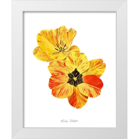 Olives Tulips I White Modern Wood Framed Art Print by Popp, Grace