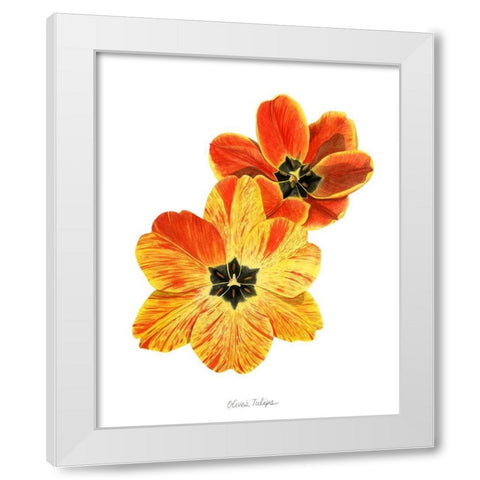 Olives Tulips II White Modern Wood Framed Art Print by Popp, Grace