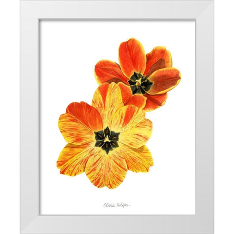 Olives Tulips II White Modern Wood Framed Art Print by Popp, Grace