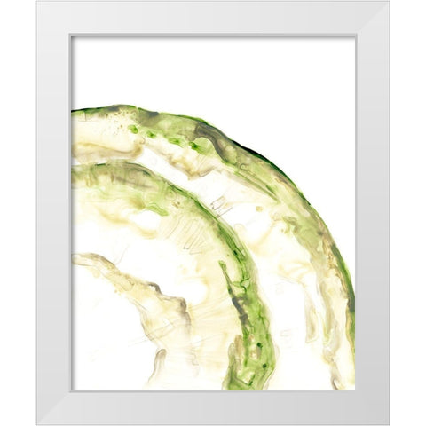 Lichen Halo VI White Modern Wood Framed Art Print by Vess, June Erica