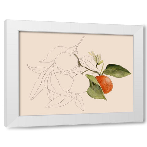 Tangerine Sketch I White Modern Wood Framed Art Print by Warren, Annie