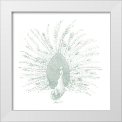 Sage Peacock I White Modern Wood Framed Art Print by Popp, Grace