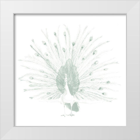 Sage Peacock II White Modern Wood Framed Art Print by Popp, Grace