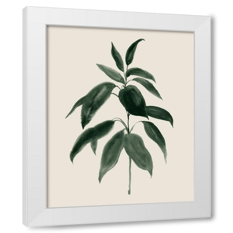 Soft Greenery II White Modern Wood Framed Art Print by Popp, Grace