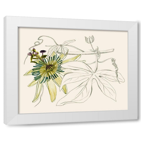 Passionflower I White Modern Wood Framed Art Print by Wang, Melissa