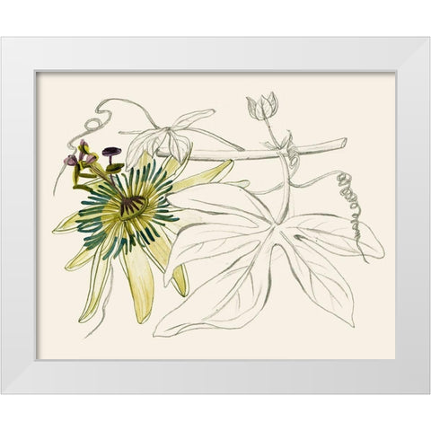 Passionflower I White Modern Wood Framed Art Print by Wang, Melissa