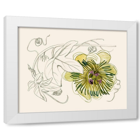 Passionflower II White Modern Wood Framed Art Print by Wang, Melissa