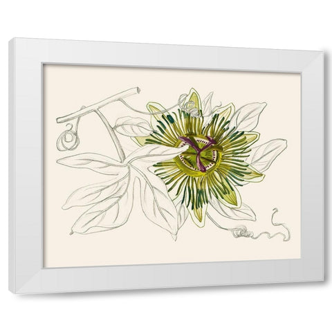 Passionflower IV White Modern Wood Framed Art Print by Wang, Melissa