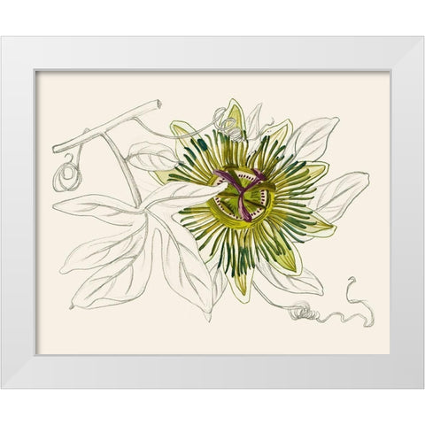 Passionflower IV White Modern Wood Framed Art Print by Wang, Melissa