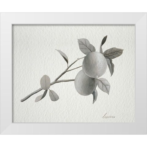 Limonero II White Modern Wood Framed Art Print by Popp, Grace