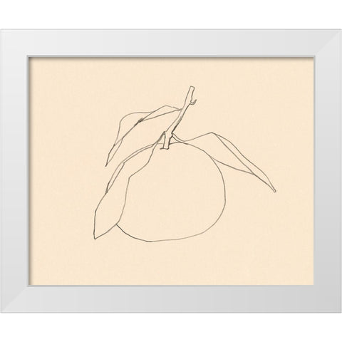 Citrus Contour I White Modern Wood Framed Art Print by Barnes, Victoria