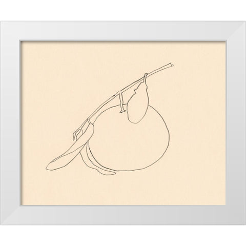 Citrus Contour II White Modern Wood Framed Art Print by Barnes, Victoria