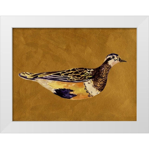 Feathered Friend II White Modern Wood Framed Art Print by Wang, Melissa