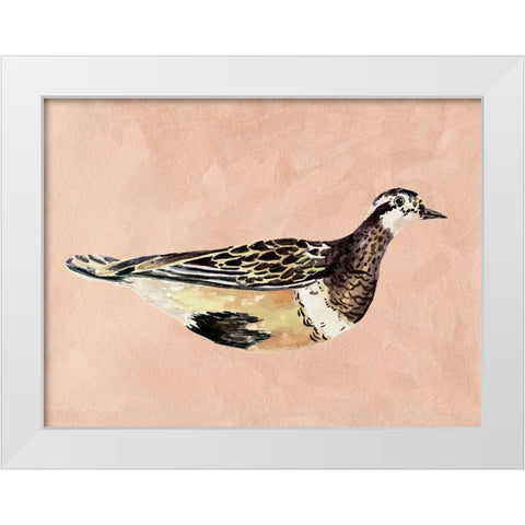 Feathered Friend IV White Modern Wood Framed Art Print by Wang, Melissa