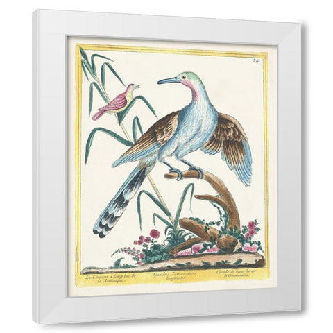 Pastel Birds V White Modern Wood Framed Art Print by Unknown