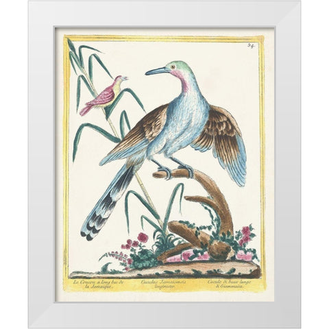 Pastel Birds V White Modern Wood Framed Art Print by Unknown