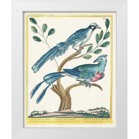 Pastel Birds VI White Modern Wood Framed Art Print by Unknown