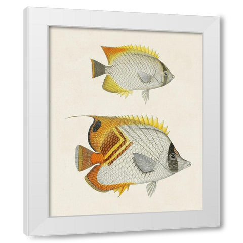 Yellow And Grey Fish I White Modern Wood Framed Art Print by Unknown