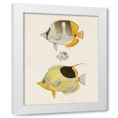 Yellow And Grey Fish II White Modern Wood Framed Art Print by Unknown