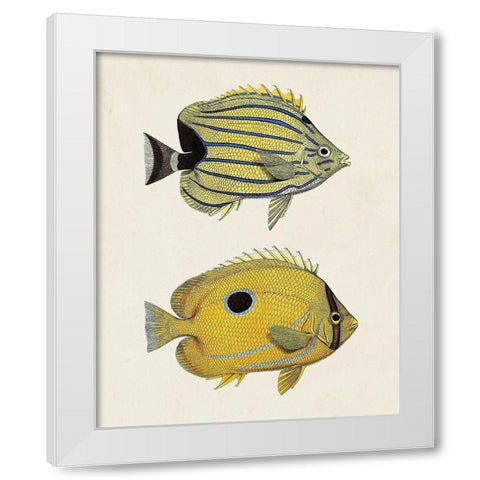 Yellow And Grey Fish III White Modern Wood Framed Art Print by Unknown